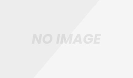 廉価版メッシュパレット